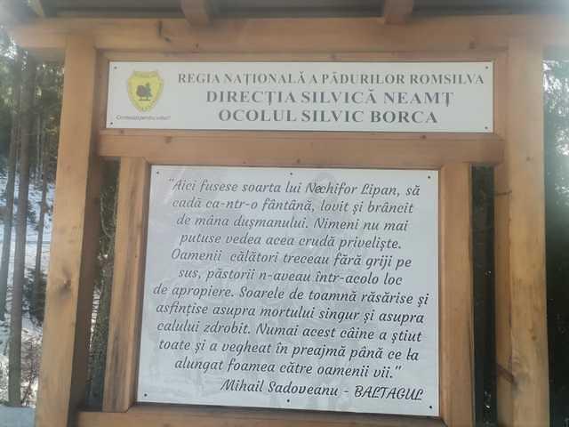 Panou Directia Silvica