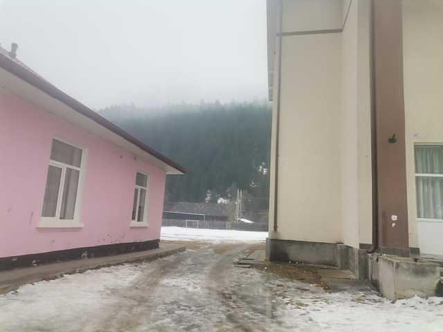 Poze Scoala Sabasa