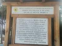 Panou Directia Silvica